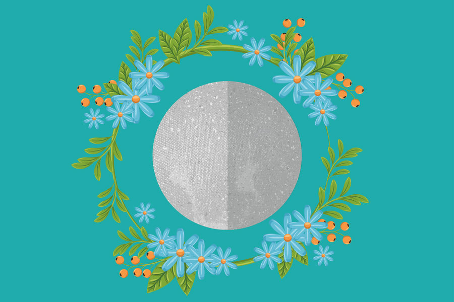 Alquimia e Astrologia: Ervas Medicinais regidas por Mercúrio