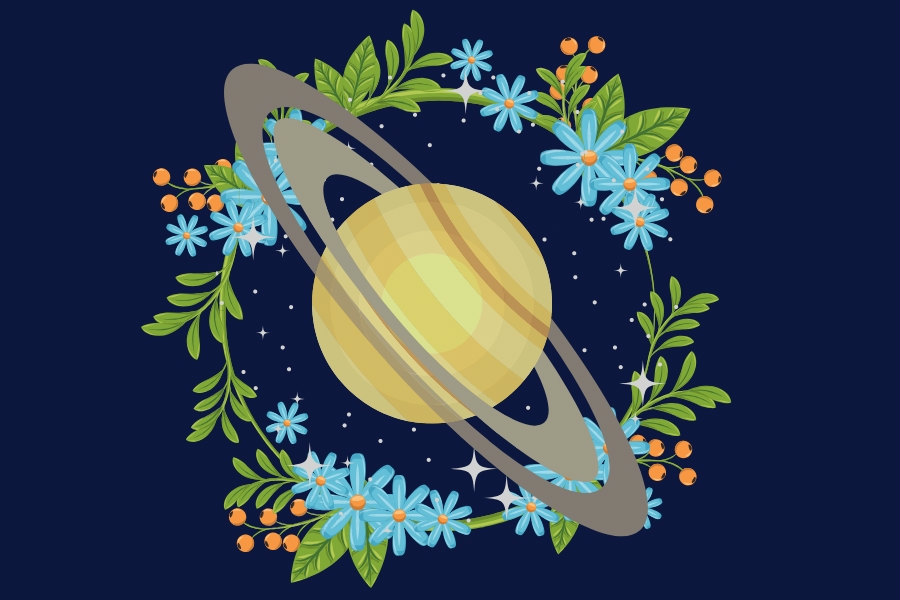 Alquimia e Astrologia: Ervas Medicinais regidas por Saturno
