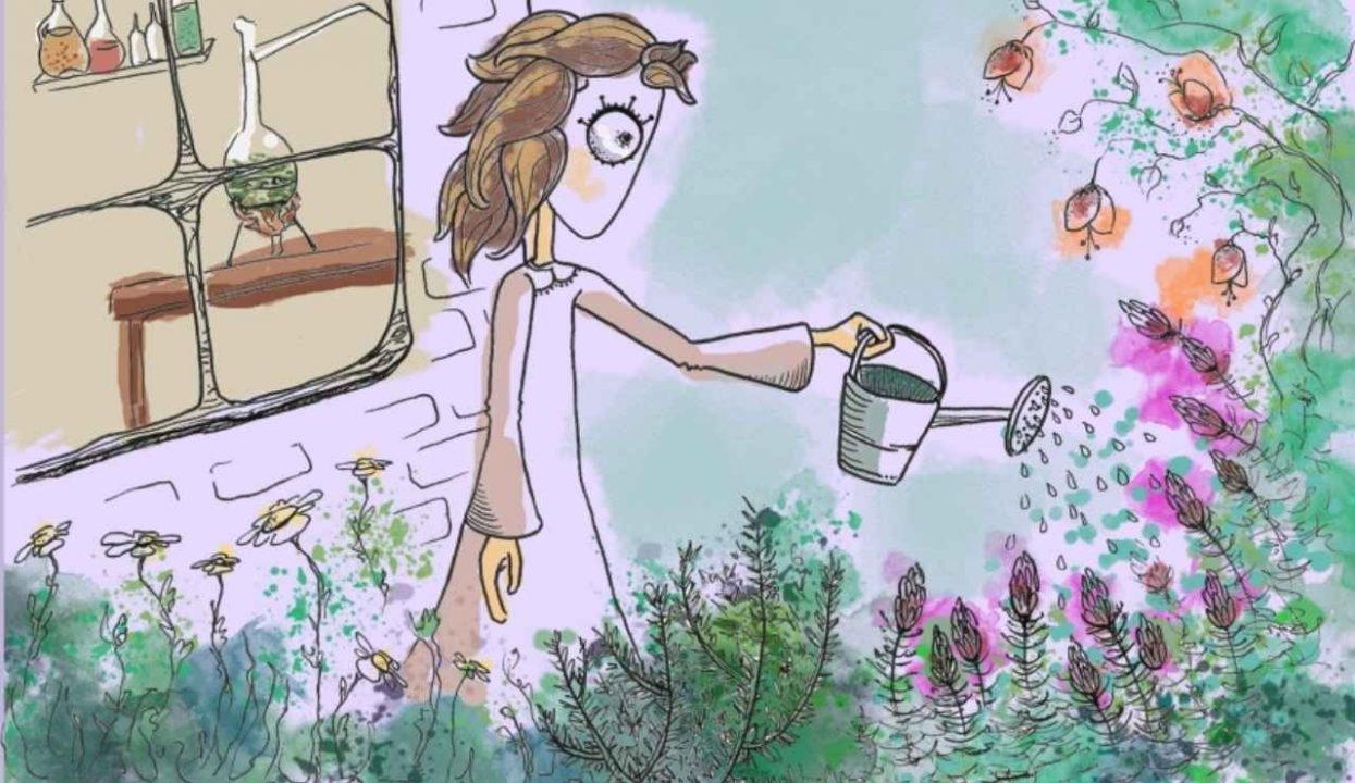 eBook - 13 Ervas Medicinais que todo Alquimista deve cultivar ou ter em casa