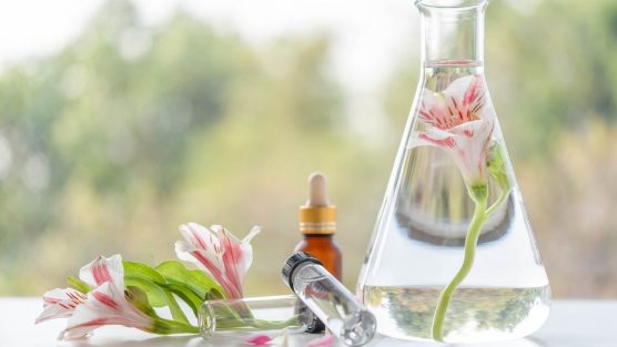 3 Condições Essenciais para quem Deseja Viver Exclusivamente da Terapia Holística