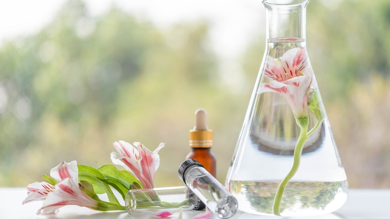 3 Condições Essenciais para quem Deseja Viver Exclusivamente da Terapia Holística