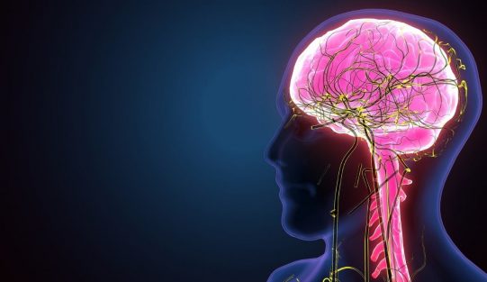 Reflexões Sobre a Impaciência - um Grande Obstáculo à Elevação Espiritual