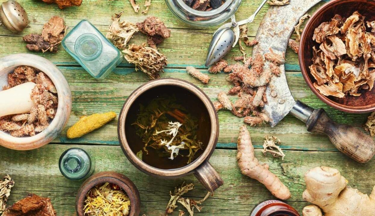 Tudo Sobre Chá: Propriedades, Receitas e Como Fazer