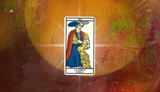 Simbolismo do 11, o Número Mestre do Enxofre Alquímico, da Força e dos Líderes